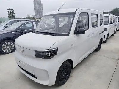 Wuling Zhiguang EV