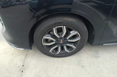 Hongqi HQ9