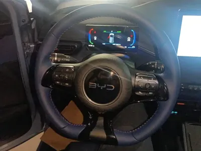 BYD Seagull
