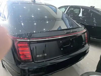 Hongqi Hongqi H9