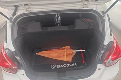 Baojun 310