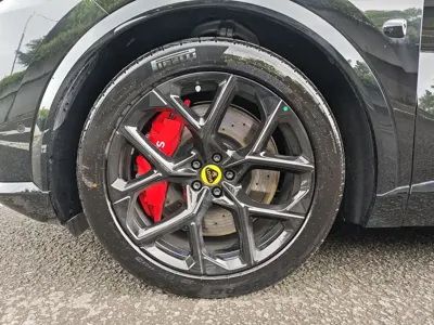 Lotus For Me