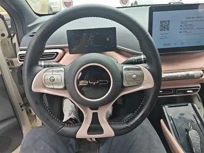 BYD Seagull