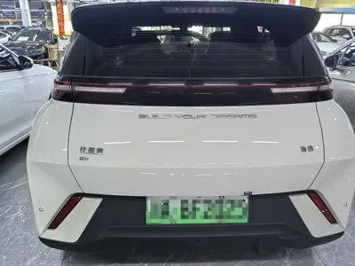 BYD Seagull