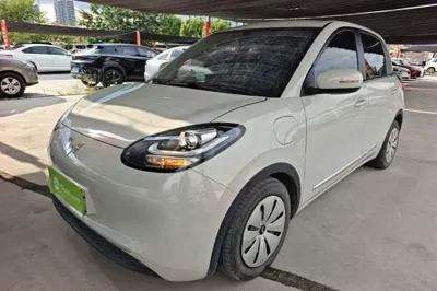 Wuling Bingo