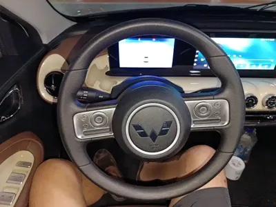 Wuling Bingo