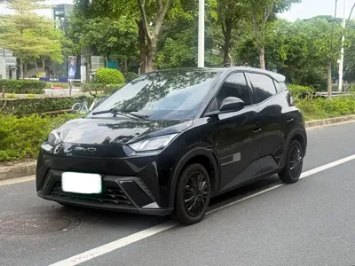 BYD Seagull
