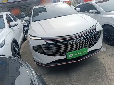 Haval Shenshou
