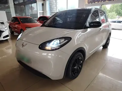 Wuling Bingo