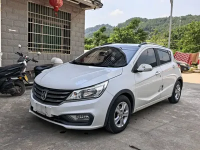 Baojun 310