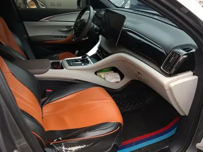 BYD Pro New Energy