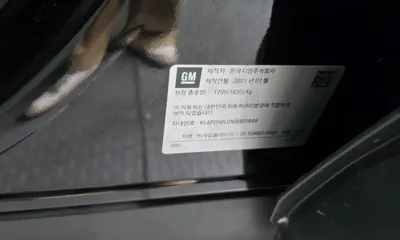 ChevroletGMDaewoo Trailblazer