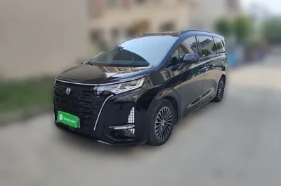 Denza D9