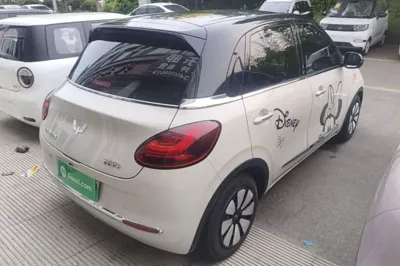 Wuling Bingo