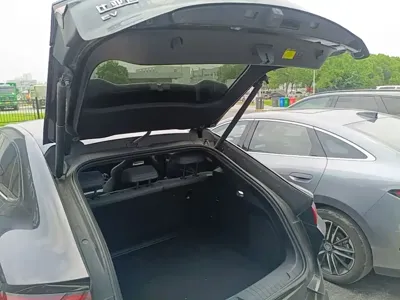 BYD L EV