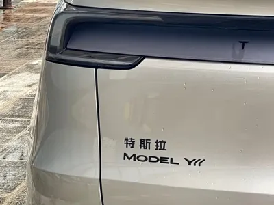 Tesla Model Y L