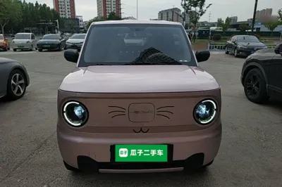 Geely Galaxy Panda