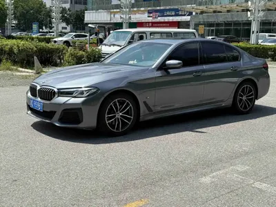 BMW 5 Series (Import)