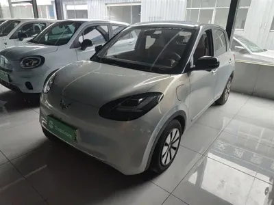 Wuling Bingo