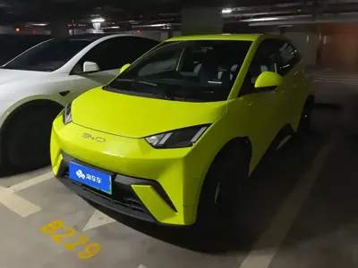 BYD Seagull