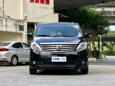 Fengxing Lingzhi PLUS