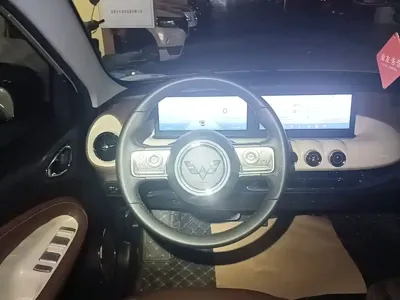 Wuling Bingo
