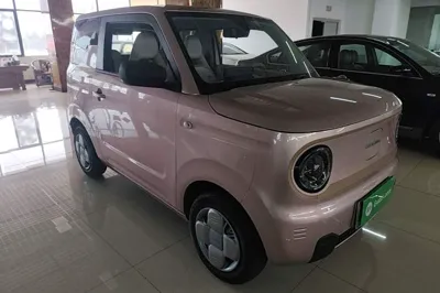 Geely Galaxy Panda