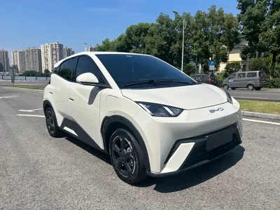 BYD Seagull