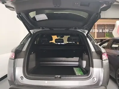 BYD L DM-i