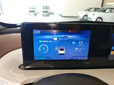 Wuling Bingo