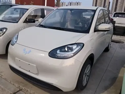 Wuling Bingo