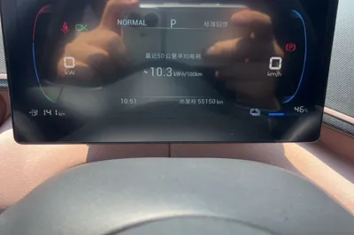 BYD Seagull