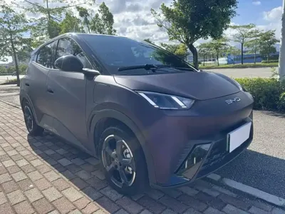 BYD Seagull