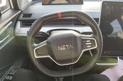 NETA V