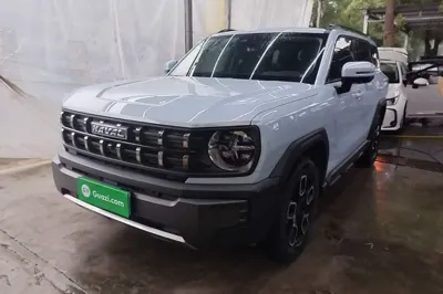 Haval X DOG