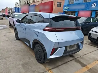 BYD Seagull