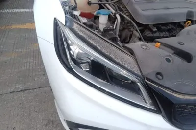 Geely Auto Binray