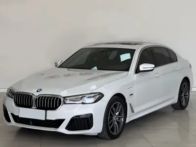 BMW 5 Series New Energy