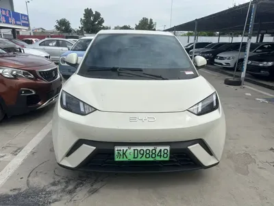 BYD Seagull