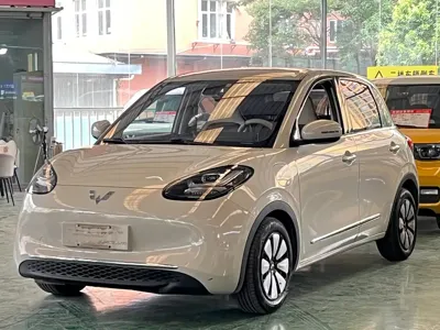 Wuling Bingo
