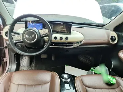 Wuling Bingo