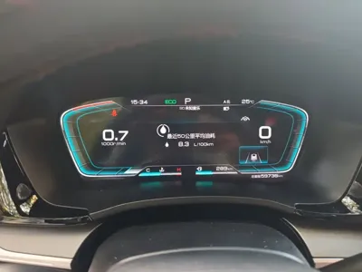 BYD PLUS