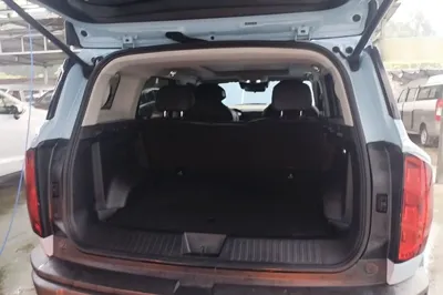 Haval X DOG