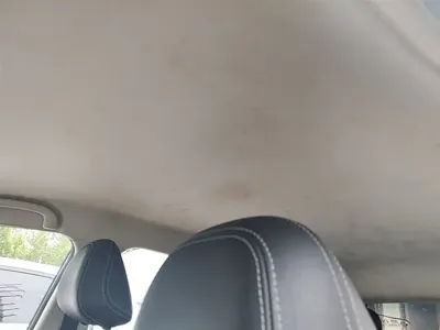 NETA Neta V