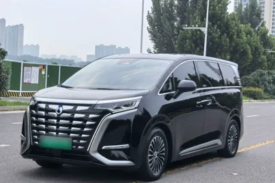 Denza D9