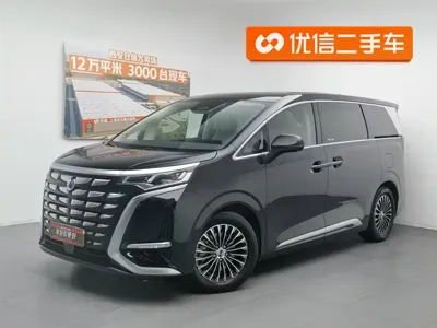 Denza Denza D9