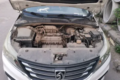 Baojun 310