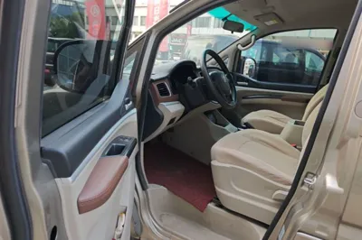 Forthing Lingzhi M5