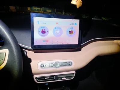 BYD Seagull