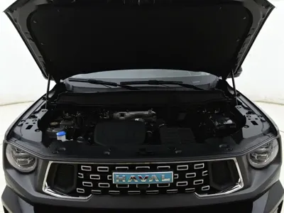 Haval 哈弗大狗 PLUS 新能源